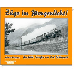 Züge im Morgenlicht! - Andreas Knipping